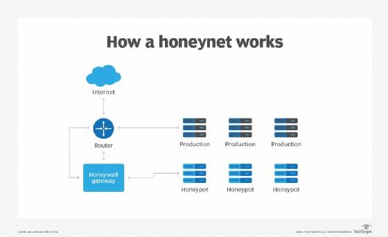 honeypot-la-gi
